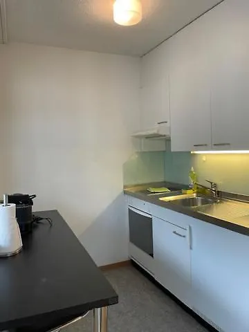 Apartment Amazing Studio In The City Centre Zurich Switzerland